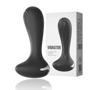 10 Vibration Round-headed with silver ferrule Anal Plug