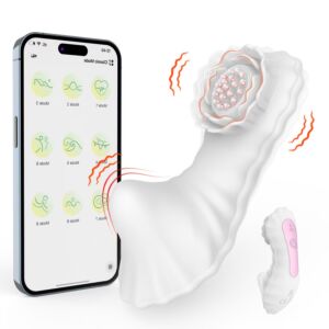 Double Spot 9 Vibration APP Control Wearable Panties Vibrator