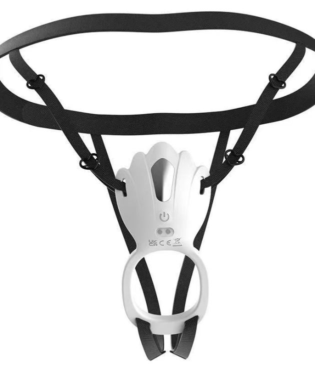 10 Fraequency APP Remote Control Wearable Underwear Clitoral Vibrator