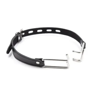 Bondage Mouth Gag Oral Gag Harness Mouth Hook Gag for Adult