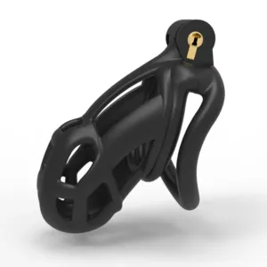 SM Penis Bondage Chastity Lock Alternative Toys Birdcage Abstain Chastity Belt For Adult