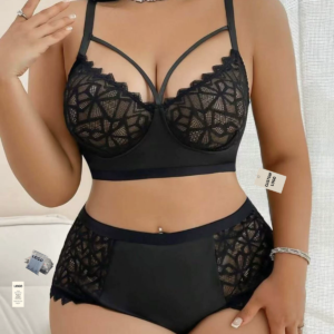 Plus Size Sheer Mesh Lace Sexy Lingerie Set: See-Through Push-Up Bra and G-String / Thong